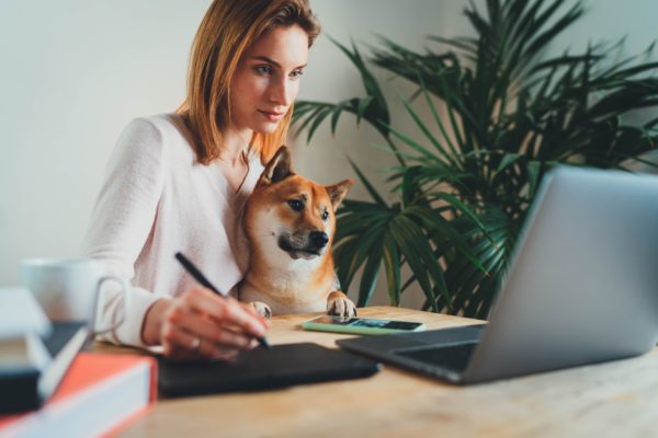 Working remotely with dog